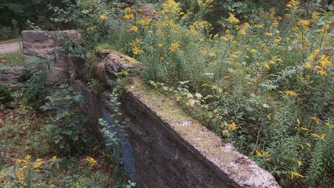 Huron Natural Area Ruins - 20240829_171508.jpg