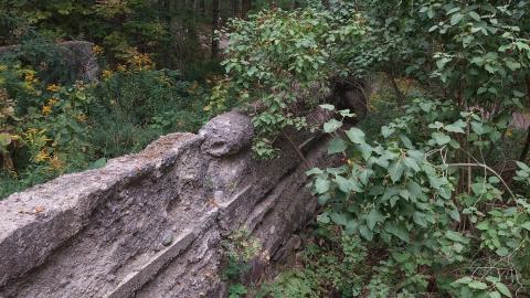 Huron Natural Area Ruins - 20240829_171558.jpg