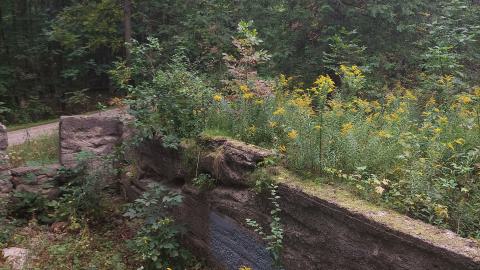 Huron Natural Area Ruins - 20240829_171634.jpg