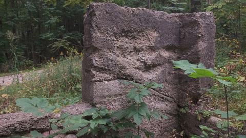 Huron Natural Area Ruins - 20240829_171757.jpg