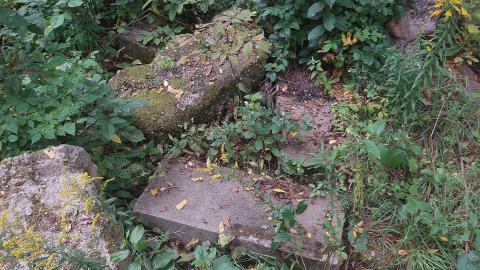 Photo from Huron Natural Area Ruins