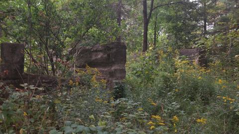Photo from Huron Natural Area Ruins