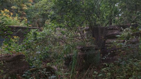 Huron Natural Area Ruins - 20240829_171904.jpg