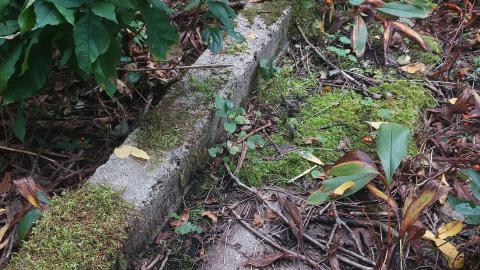 Huron Natural Area Ruins - 20240829_171941.jpg