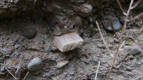 Huron Natural Area Ruins - 20240829_172304.jpg