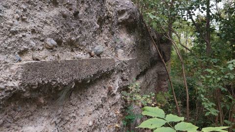 Huron Natural Area Ruins - 20240829_172309.jpg