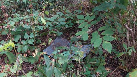 Photo from Huron Natural Area Ruins