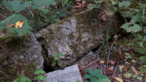 Huron Natural Area Ruins - 20240829_173036.jpg