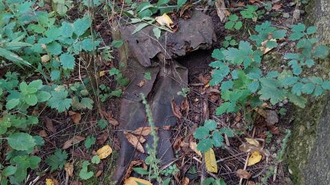 Huron Natural Area Ruins - 20240829_173143.jpg