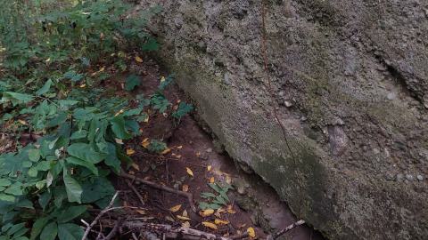 Huron Natural Area Ruins - 20240829_173212.jpg