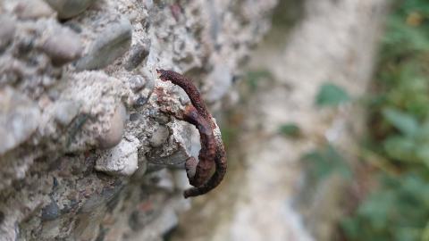 Huron Natural Area Ruins - 20240829_173517.jpg