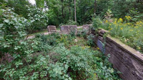 Huron Natural Area Ruins - 20240829_173718.jpg