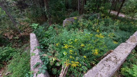 Huron Natural Area Ruins - 20240829_173728.jpg
