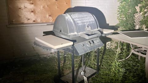 170 Roehampton Apartments photo 2