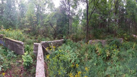 Huron Natural Area Ruins - 20240829_173612.jpg