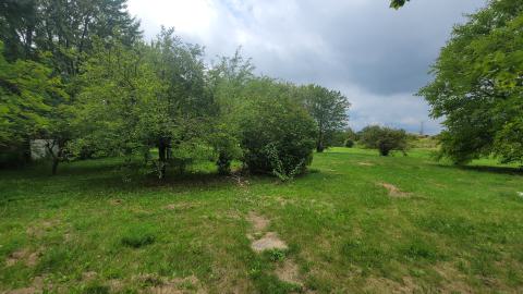 Aug 2024 - 20240828_134829.jpg