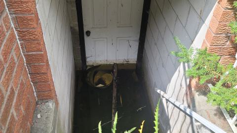 Aug 2024 - 20240828_134736.jpg