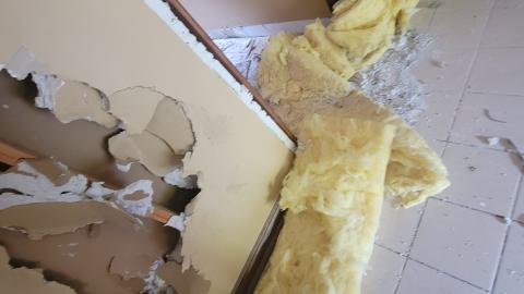 Aug 2024 - 20240828_133559.jpg