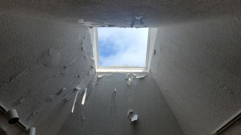 Aug 2024 - 20240828_133429.jpg