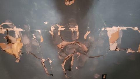 Aug 2024 - 20240828_133314.jpg