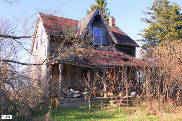 Hidden Behind the Trees photo 4