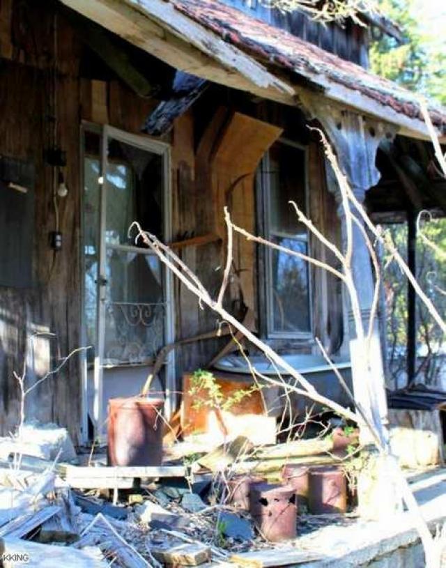 Hidden Behind the Trees photo 5