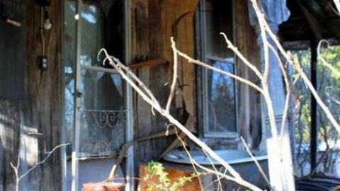 Hidden behind the Trees - IMG_1336.jpg