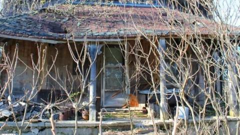 Hidden behind the Trees - IMG_1337.jpg