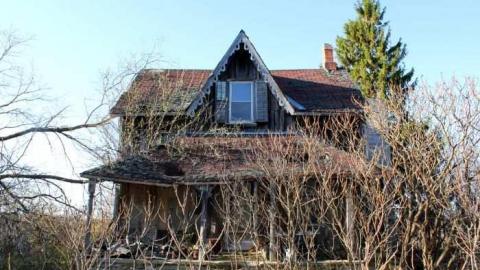 Hidden behind the Trees - IMG_1338.jpg