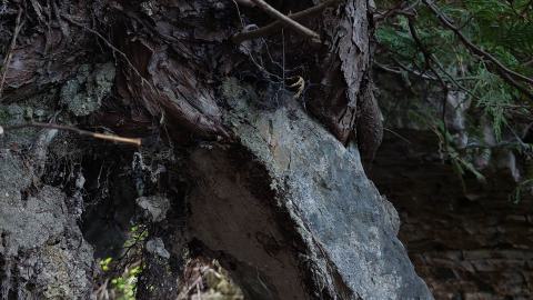 Bowman Creek Bridge - 20240814_172434.jpg