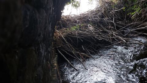 Bowman Creek Bridge - 20240814_173722.jpg