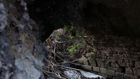 Photo from Bowman Creek Bridge