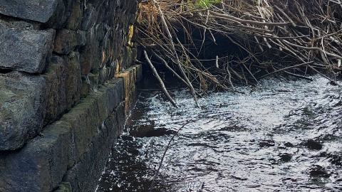 Bowman Creek Bridge - 20240814_173931.jpg