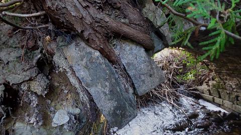 Bowman Creek Bridge - 20240814_174040.jpg