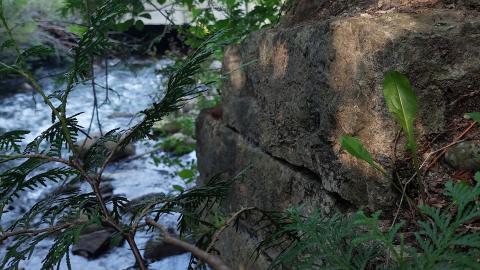 Bowman Creek Bridge - 20240814_174259.jpg