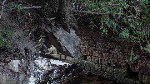 Bowman Creek Bridge - 20240814_174438.jpg