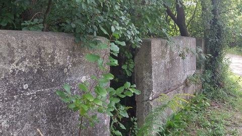 Devil's Glen Quarry Foundations - 20240822_173622.jpg