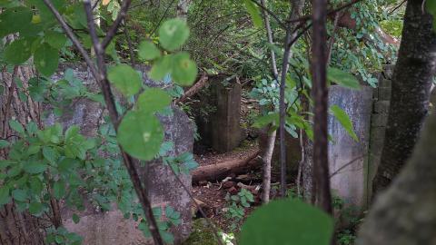 Devil's Glen Quarry Foundations - 20240822_173634.jpg