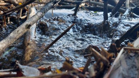 Bowman Creek Bridge - 20240814_174734.jpg