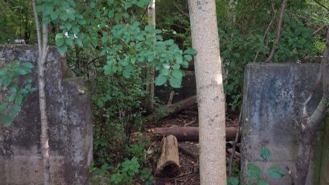 Devil's Glen Quarry Foundations - 20240822_173644.jpg