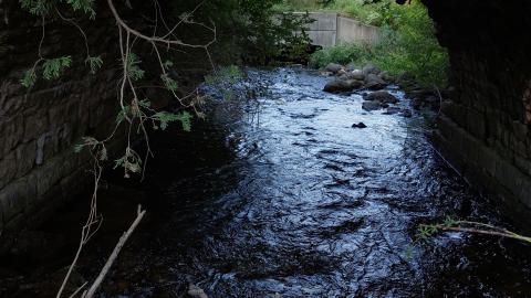 Photo from Bowman Creek Bridge