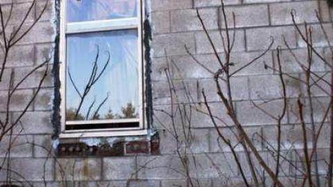 Hidden behind the Trees - IMG_1341.jpg