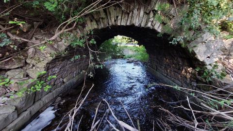 Bowman Creek Bridge - 20240814_175248.jpg