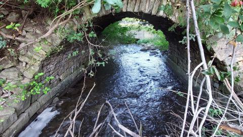 Bowman Creek Bridge - 20240814_175320.jpg