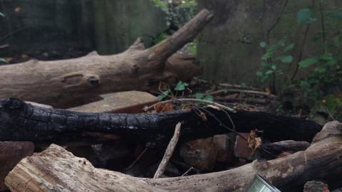 Devil's Glen Quarry Foundations - 20240822_174115.jpg