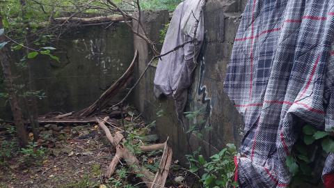 Devil's Glen Quarry Foundations - 20240822_174128.jpg