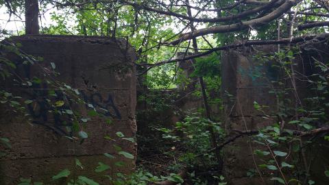 Photo from Devil's Glen Quarry Foundations