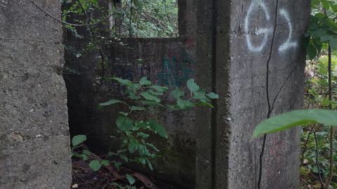 Devil's Glen Quarry Foundations - 20240822_174220.jpg