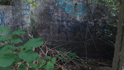 Devil's Glen Quarry Foundations - 20240822_174233.jpg