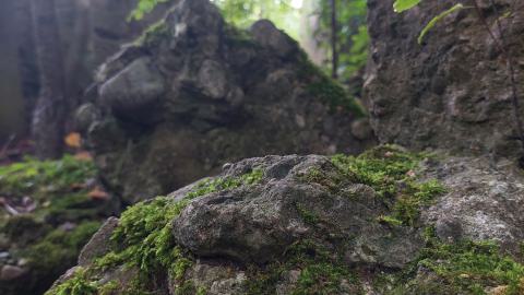 Devil's Glen Quarry Foundations - 20240822_174317.jpg